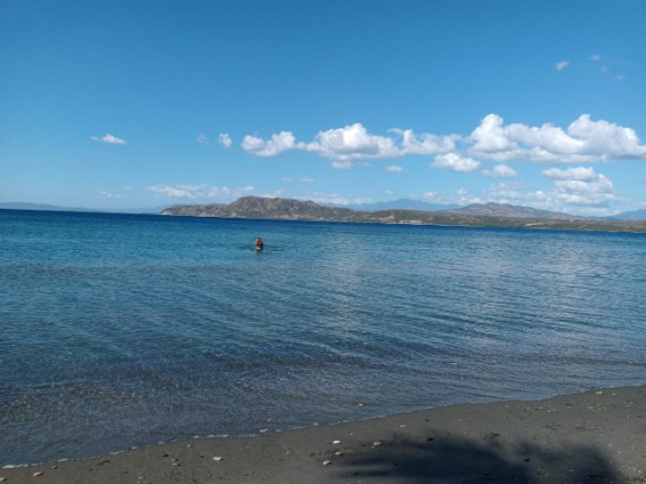 goodnovel comment avatar