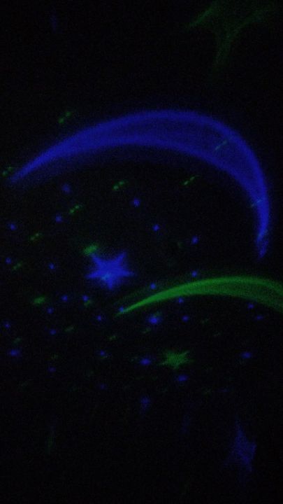 goodnovel comment avatar