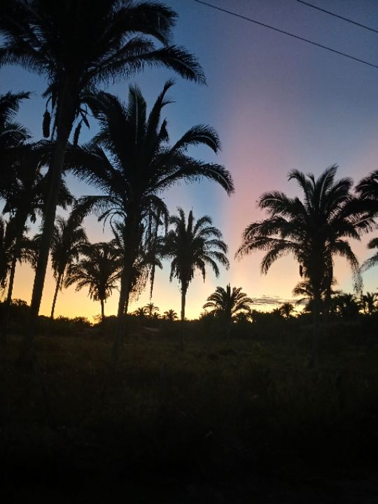 goodnovel comment avatar