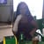 goodnovel comment avatar