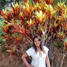 goodnovel comment avatar