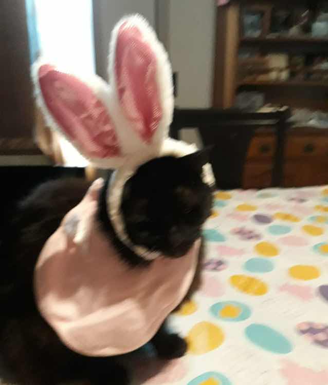 goodnovel comment avatar