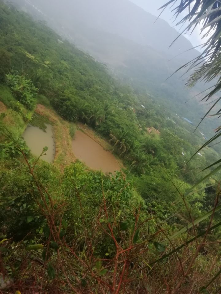 goodnovel comment avatar