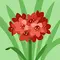 Magda Monte Alto Monte Alto