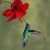 goodnovel comment avatar