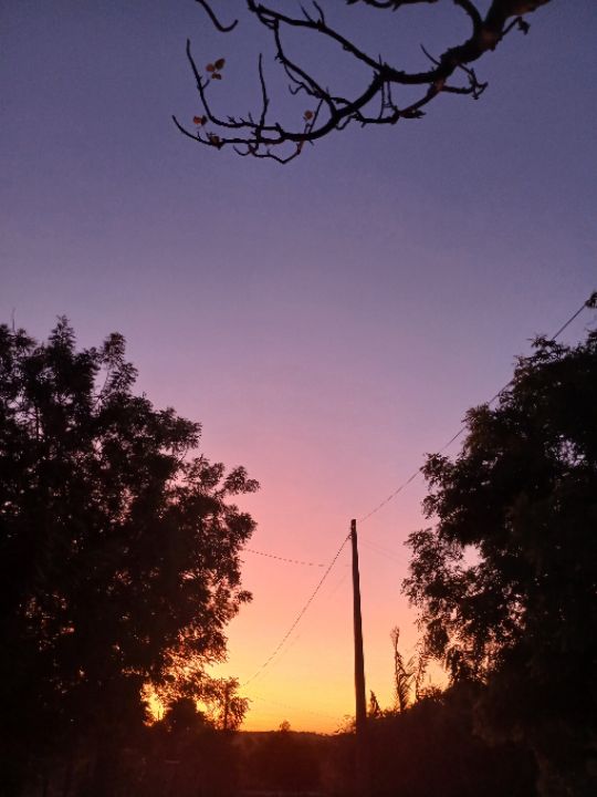 goodnovel comment avatar