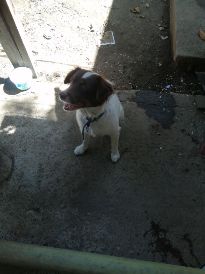 goodnovel comment avatar