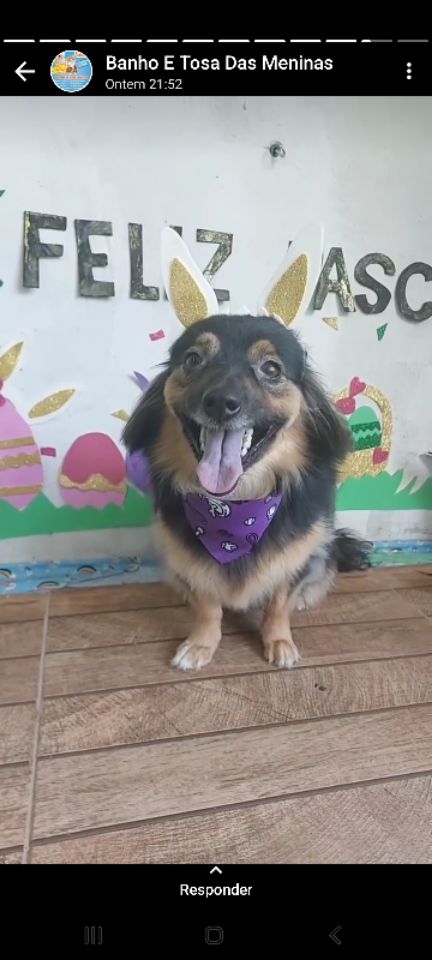 goodnovel comment avatar