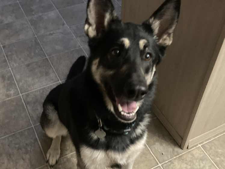 goodnovel comment avatar