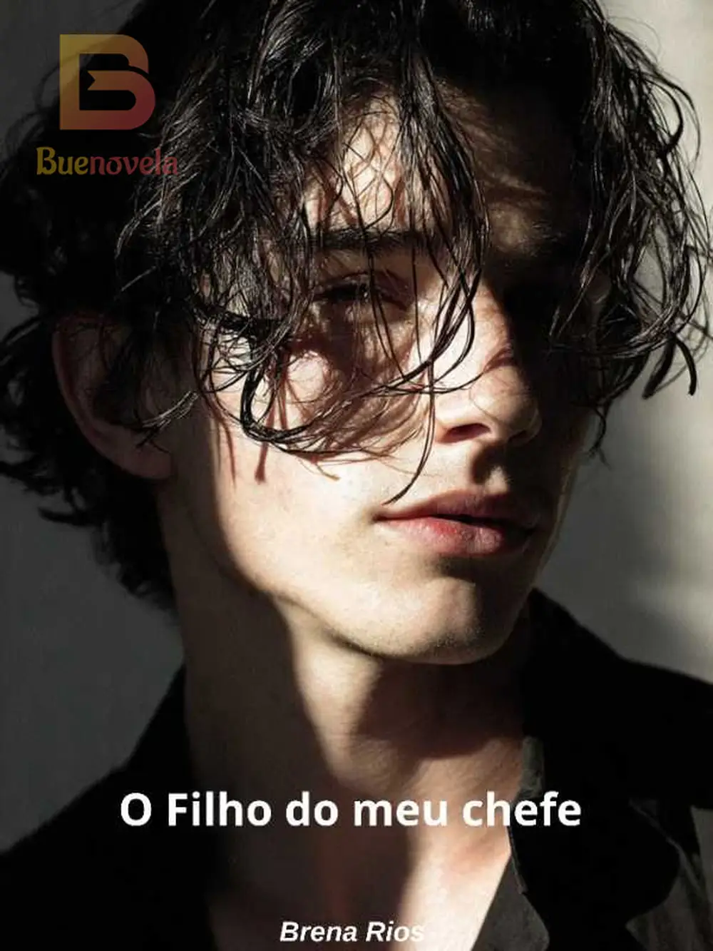 O Filho do meu Chefe - Inacreditável Novela e PDF Online por Brena Rios ...